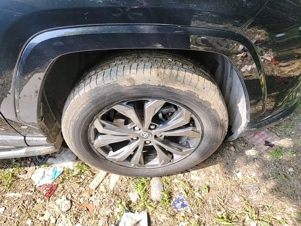 Toyota RAV4 Rongfang 2024 2.0L CVT FWD Style Plus Edition фото 14