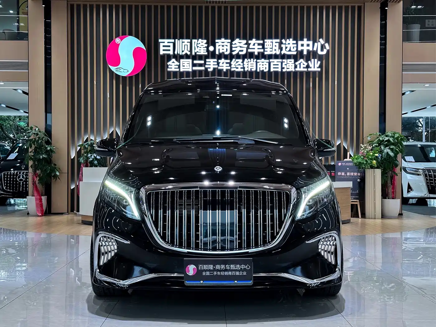 Lili Auto V-Class 2025 2023 Lion Dance Series 2.0T Zhang 7-Seater