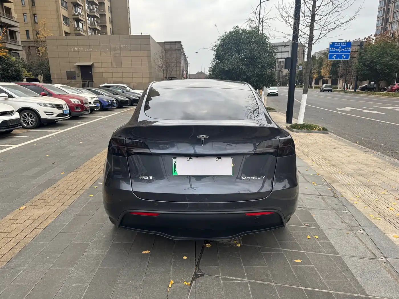 TESLA MODEL Y