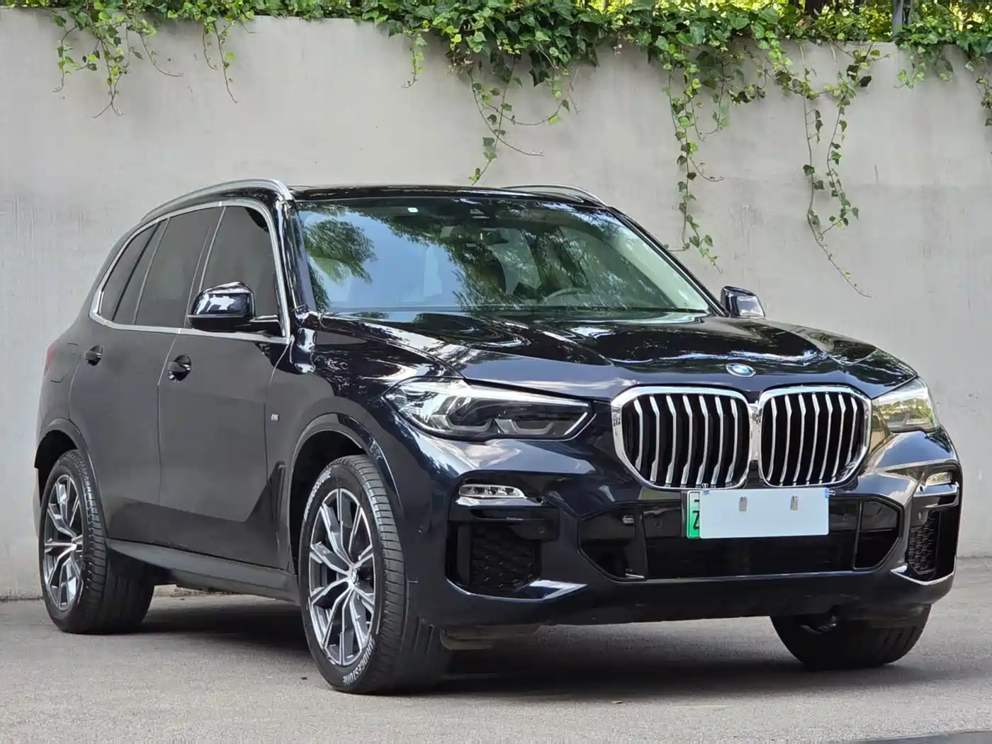 BMW X5 New Energy(Imported) 2020 xDrive45e M Sport Package фото 47
