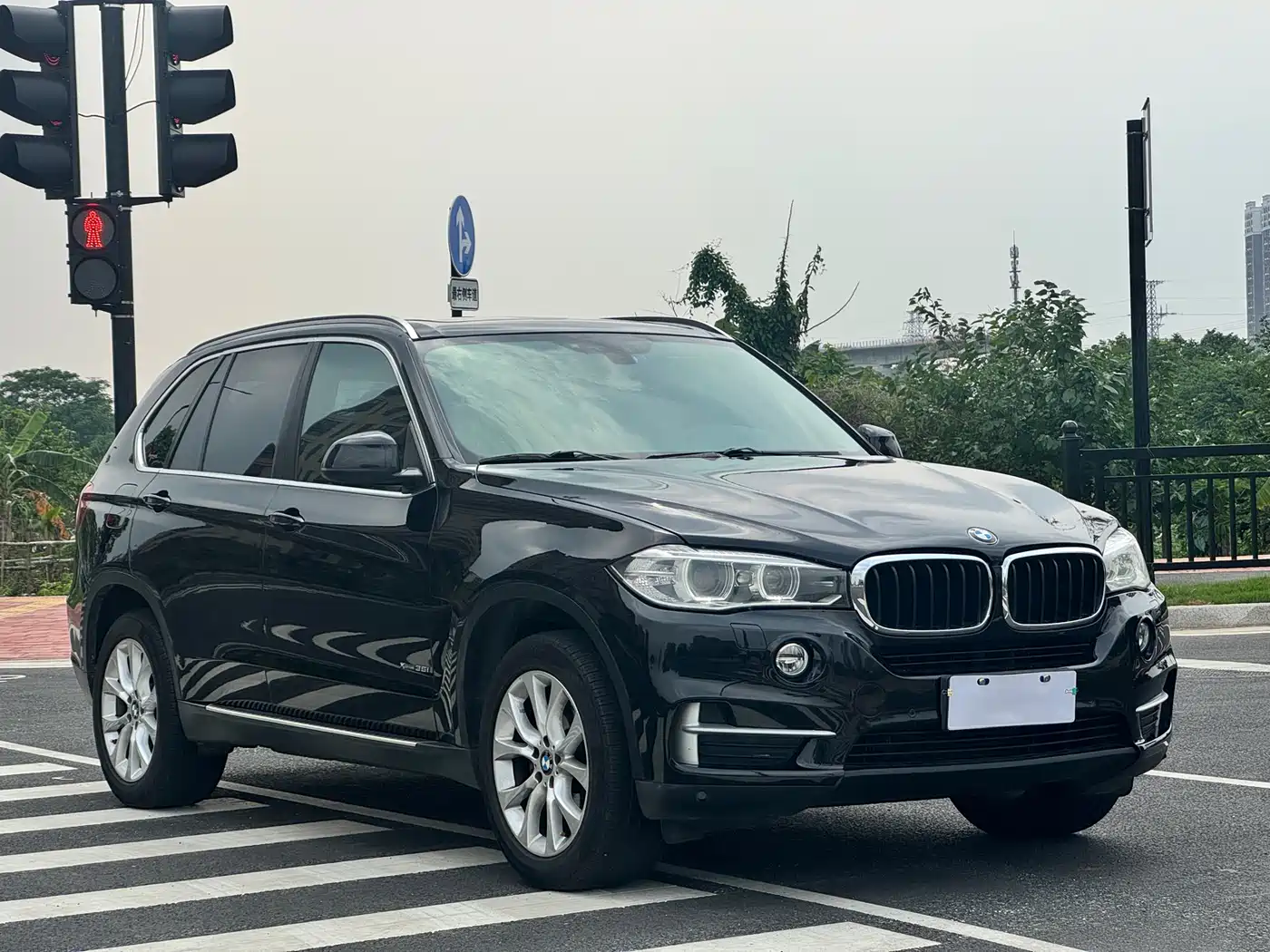 BMW X5 (Import) 2014 xDrive35i Elegance фото 3