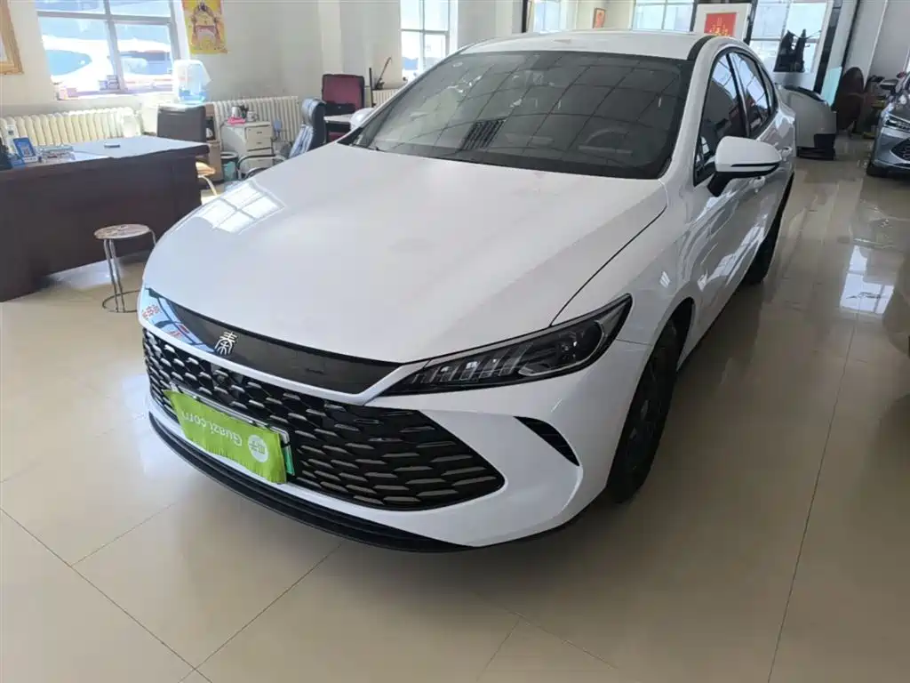BYD Qin PLUS 2025 DM-i Smart Drive 55KM Leader