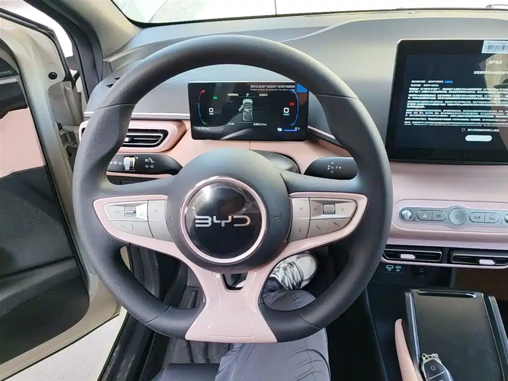 BYD Seagull 2025 Smart Drive Edition 305km Vitality Version фото 11