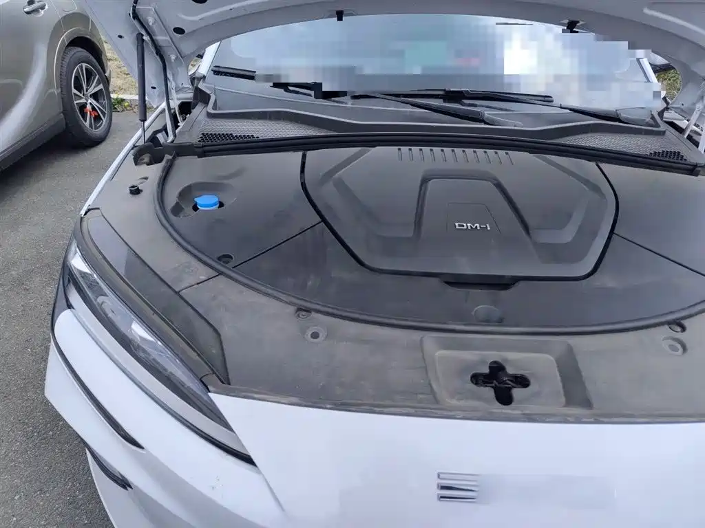 BYD Song PLUS PHEV 2024 Glory Edition DM-i 110km Flagship фото 21