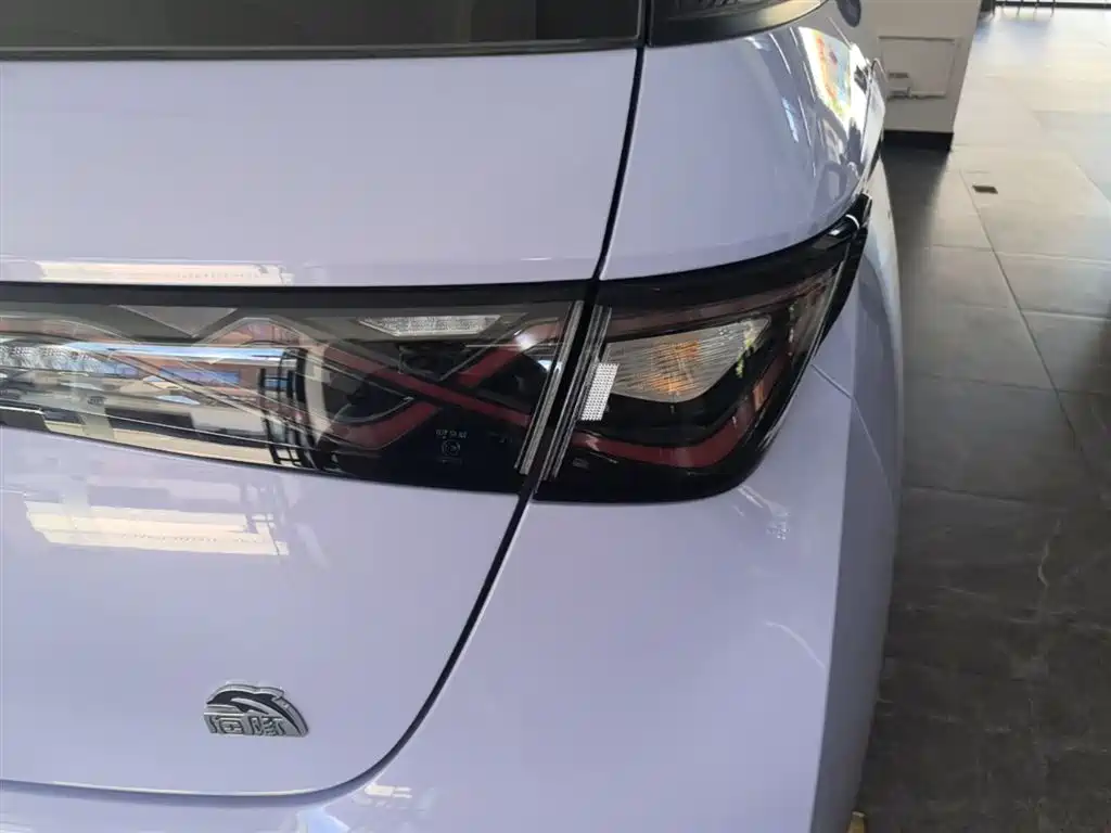 BYD Dolphin 2023 420km Fashion Edition фото 8