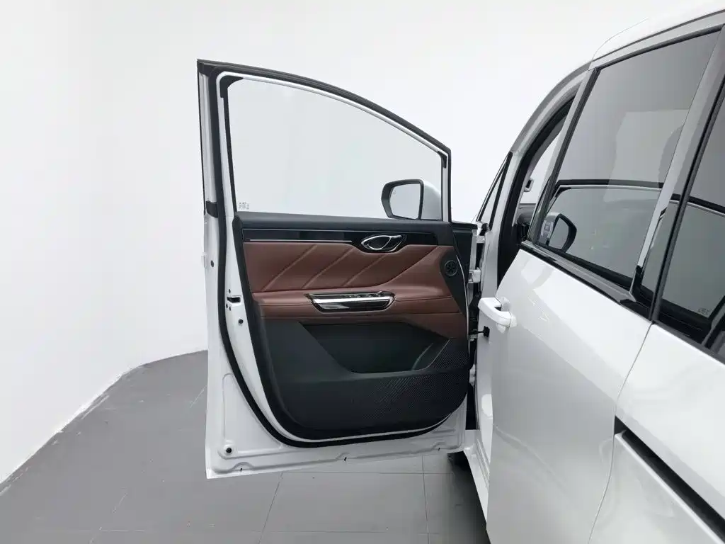 GAC Trumpchi Trumpchi E8 NEV 2025 2024 Model 150km MAX+