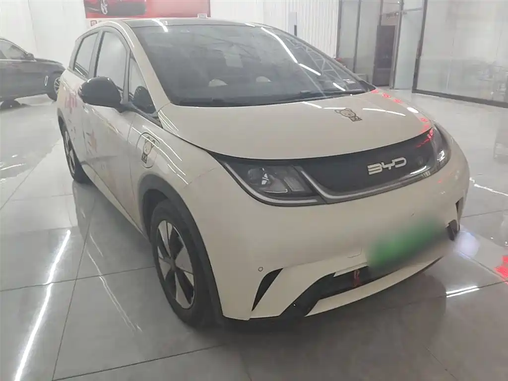 BYD Dolphin 2023 420km Fashion Edition фото 4