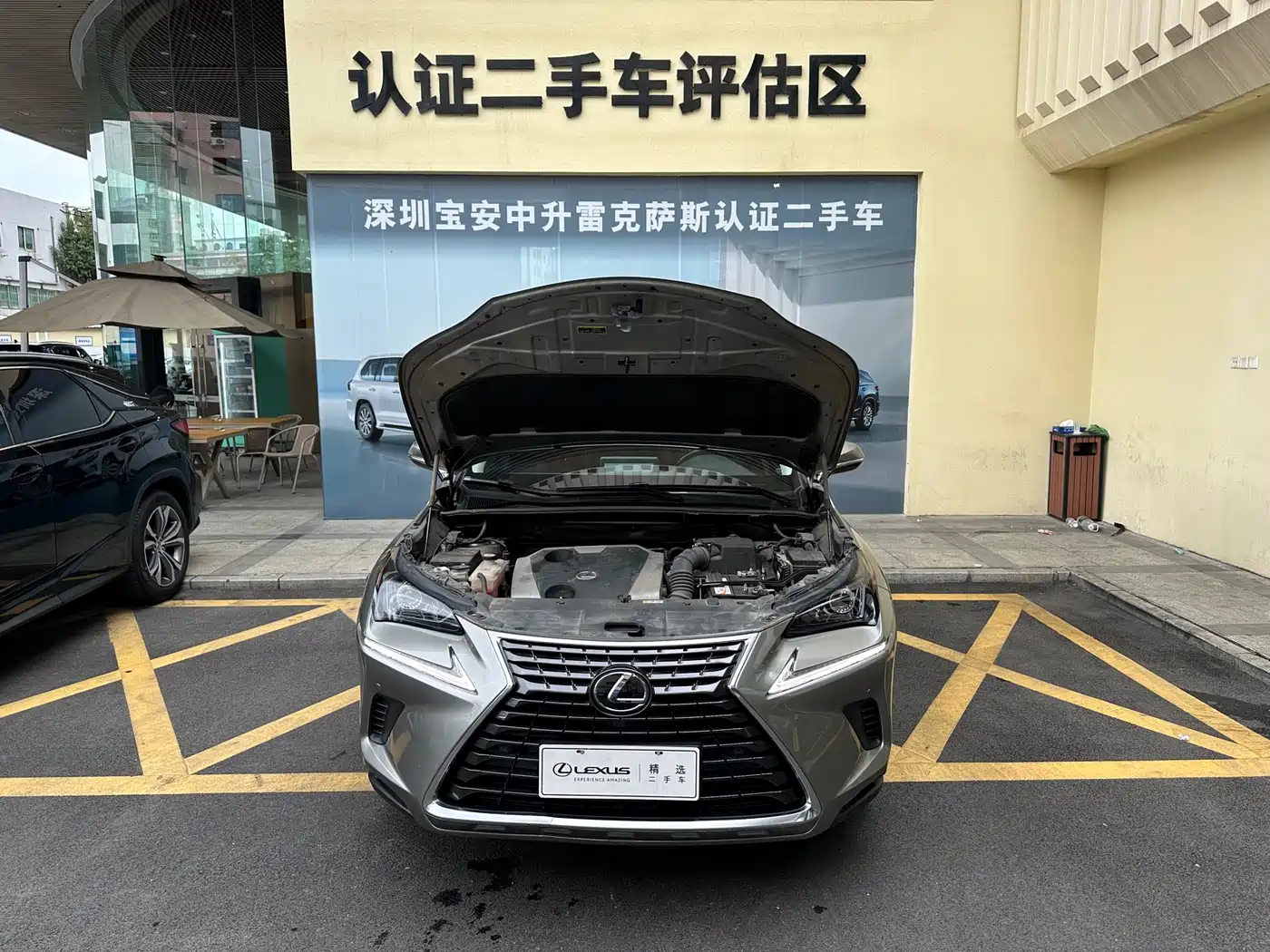 Lexus NX 2018 Model 200 AWD Fengshang Edition China V фото 5