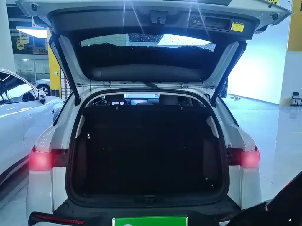 BYD Yuan PLUS 2025 2025 Smart Drive 510KM Surpass Edition