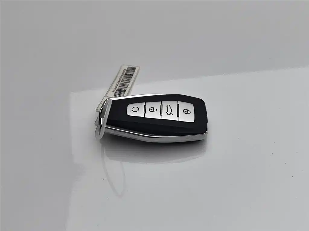 GEELY AUTOMOBILE BORUI