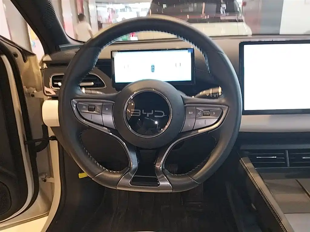 BYD Seal 06 New Energy 2024 DM-i 80KM Prestige фото 11