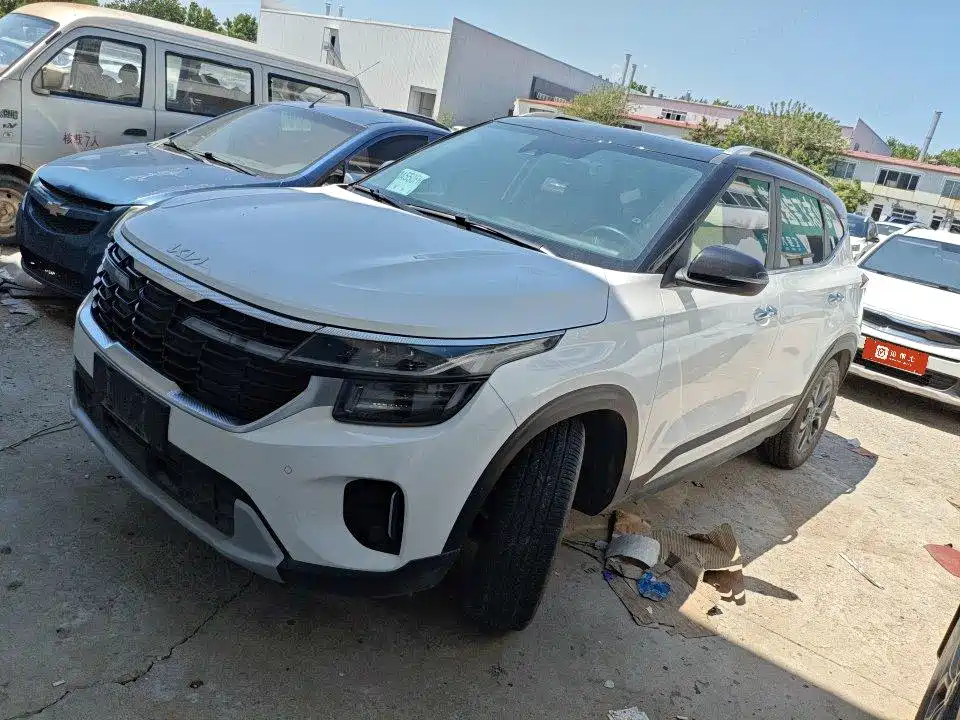 Kia Seltos 2023 1.5L CVT Luxury Edition