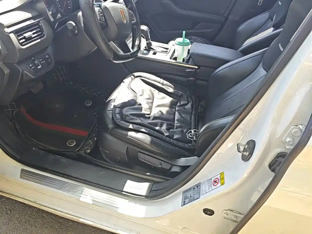 Hongqi H5 2019 30TD Style Edition фото 22