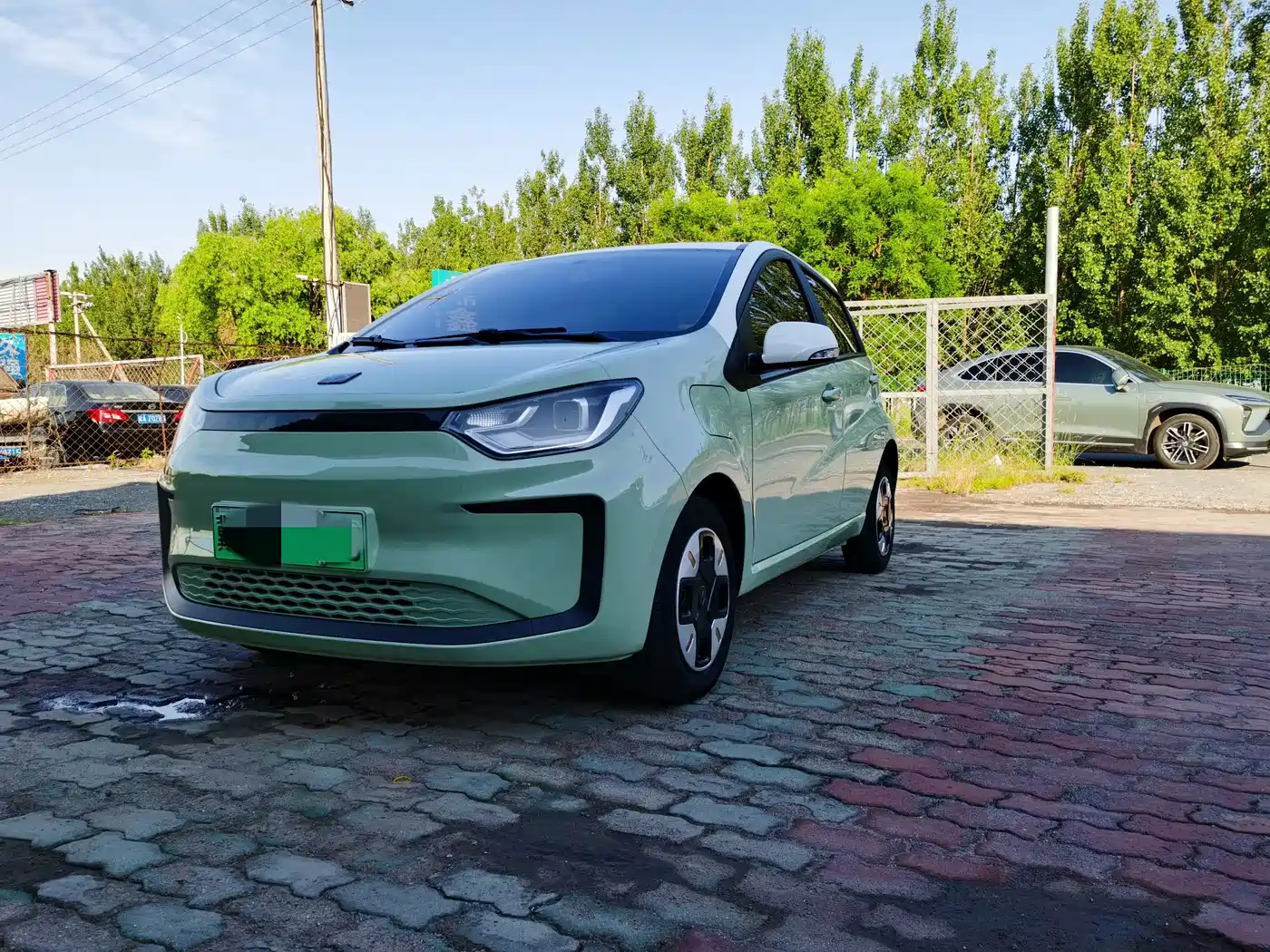 Sehol Flower Fairy 2023 2023 Anniversary 301km Four-Leaf Clover 36kW