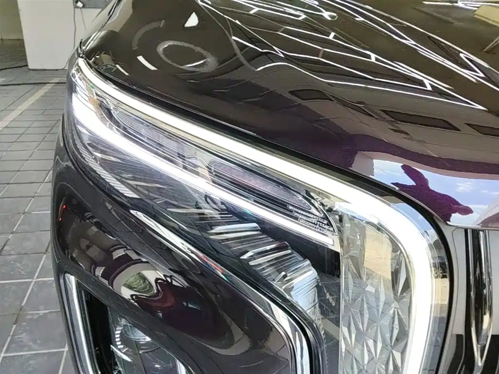 Hongqi HQ9 PHEV 2024 Model 2.0T AWD Luxury Edition фото 13