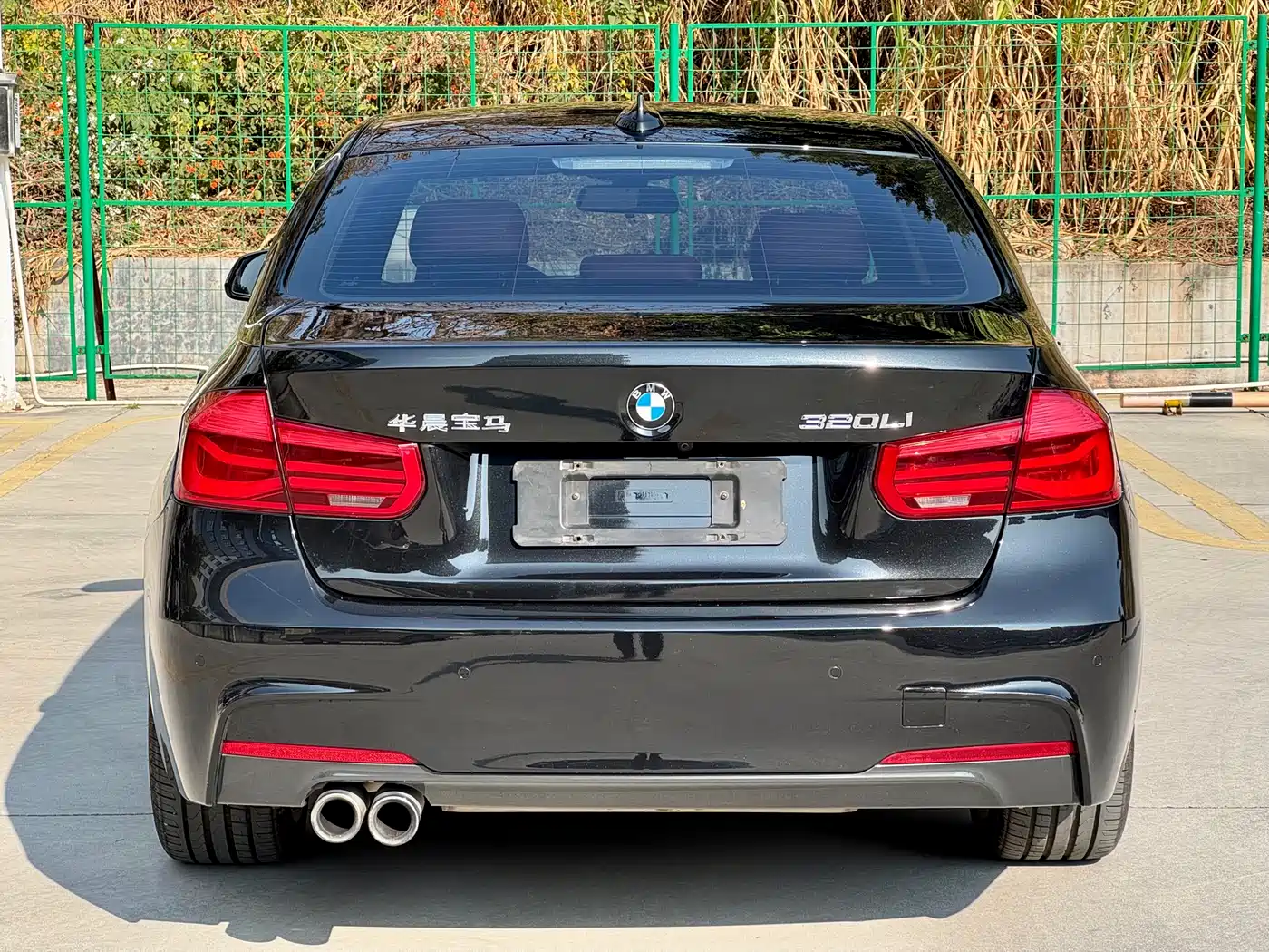 BMW 3 Series 2019 320Li M Luxury Package фото 11