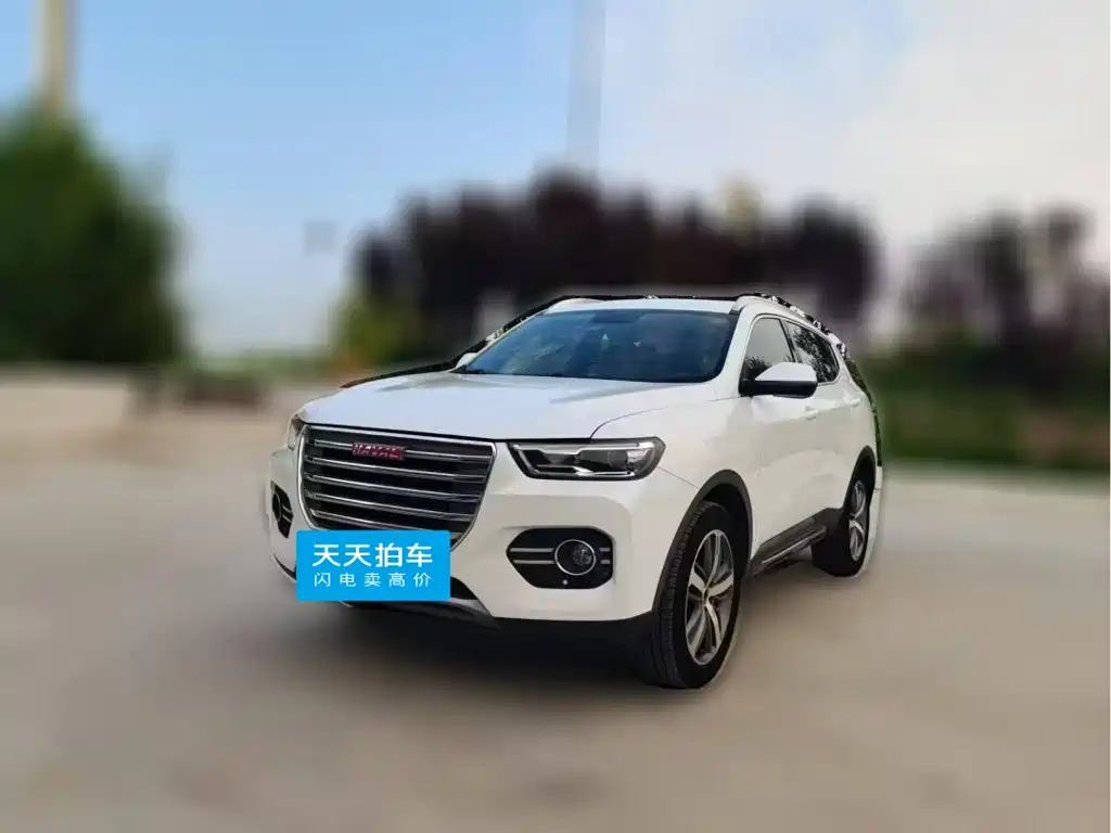 Фото 1 - Haval H6