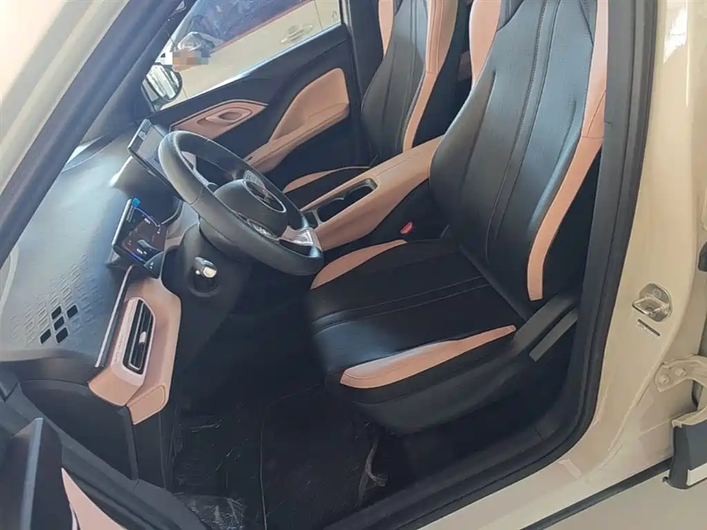 BYD Seagull 2025 305km Vitality фото 15