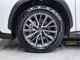 صورة 36 - Lexus NX