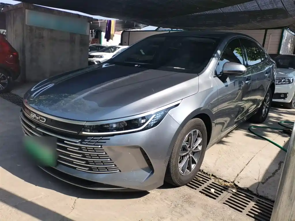 BYD Destroyer 05 2024 Glory Edition DM-i 55KM Luxury фото 2