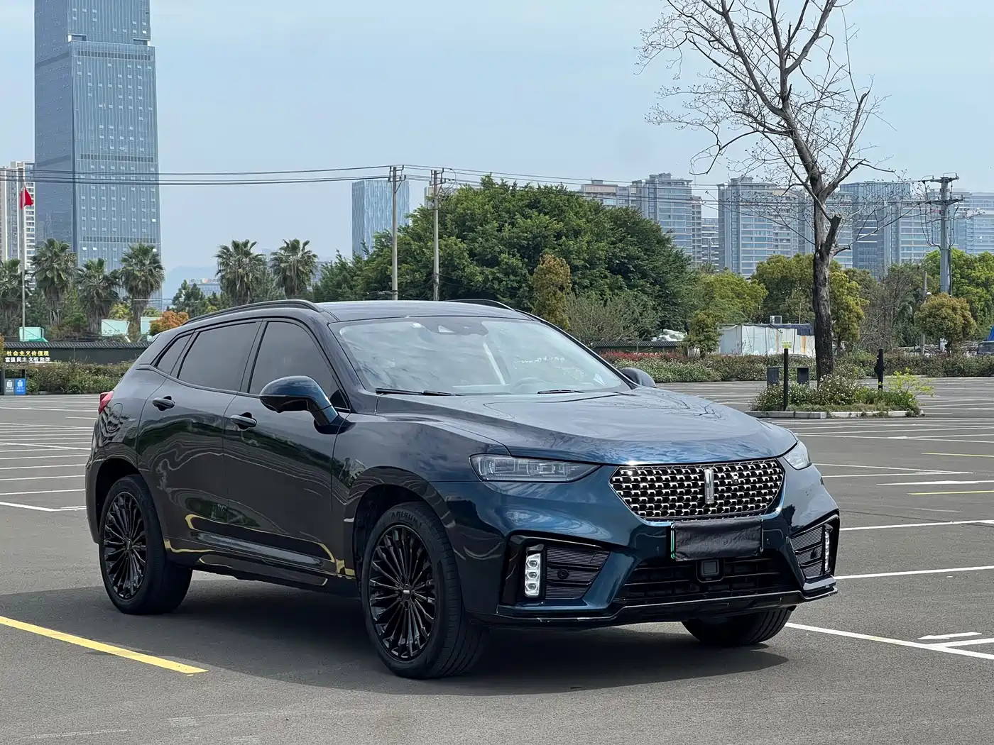 WEI PAI WEI BRAND VV7 NEW ENERGY