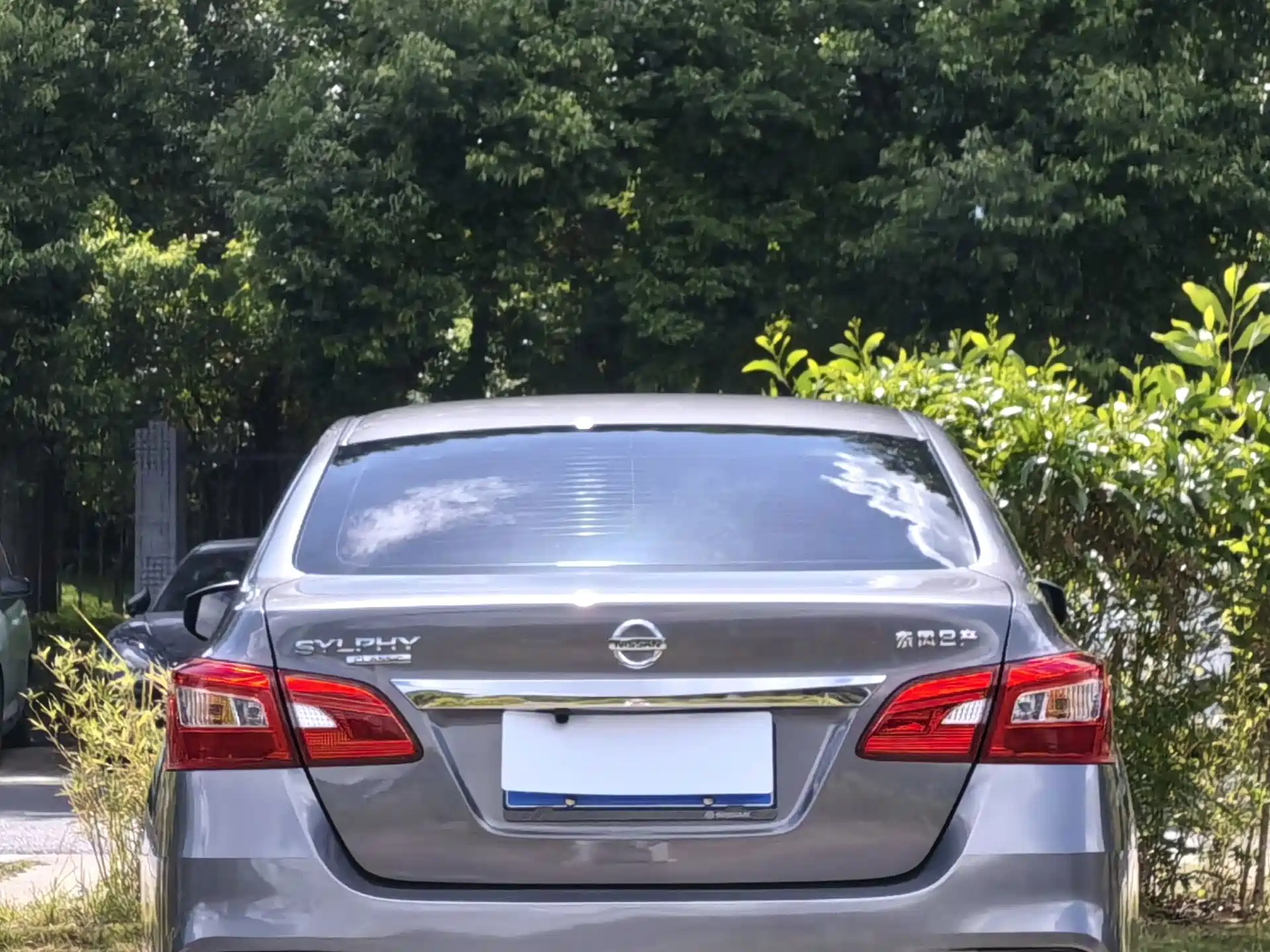 صورة 8 - Nissan Sylphy