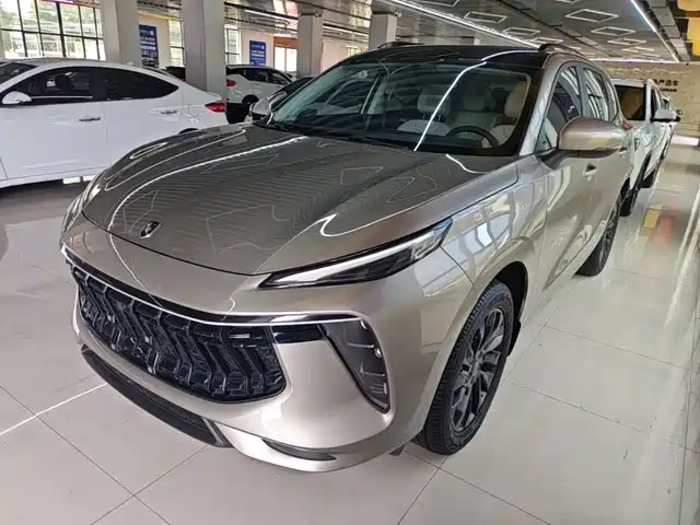 Dongfeng Fengxing Fengxing T5 EVO 2021 1.5TD DCT Platinum Edition