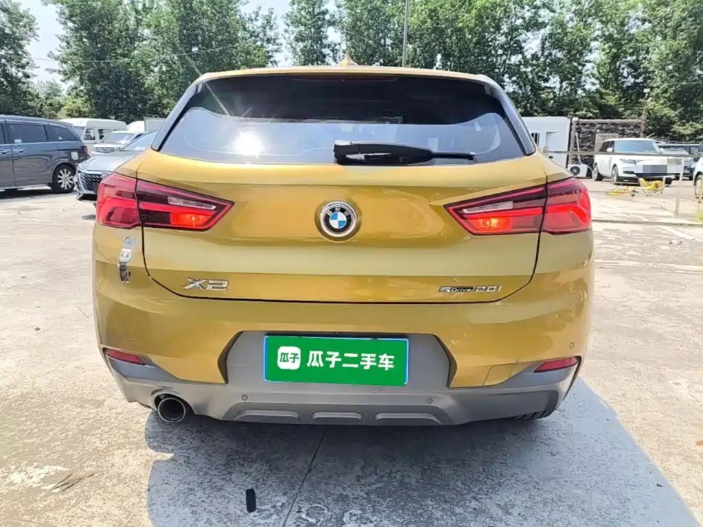 BMW X2 (Import) 2019 2019 sDrive20i M Off-Road Package China VI