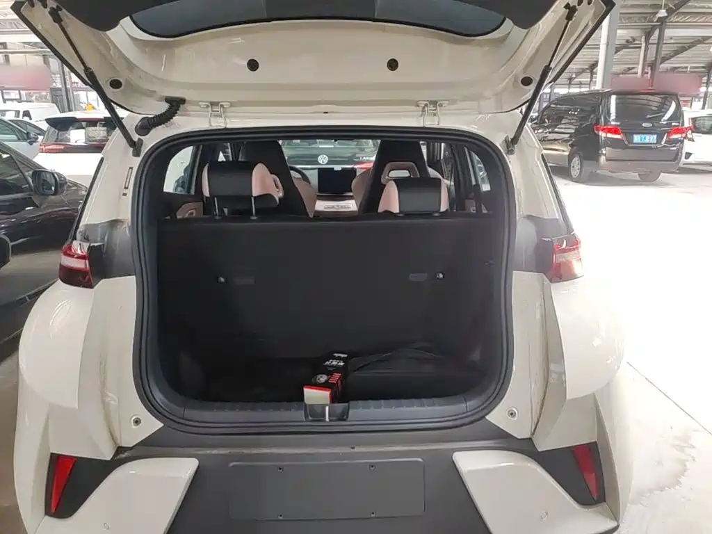 BYD Seagull 2026 2025 Smart Drive Edition 305km Vitality Version