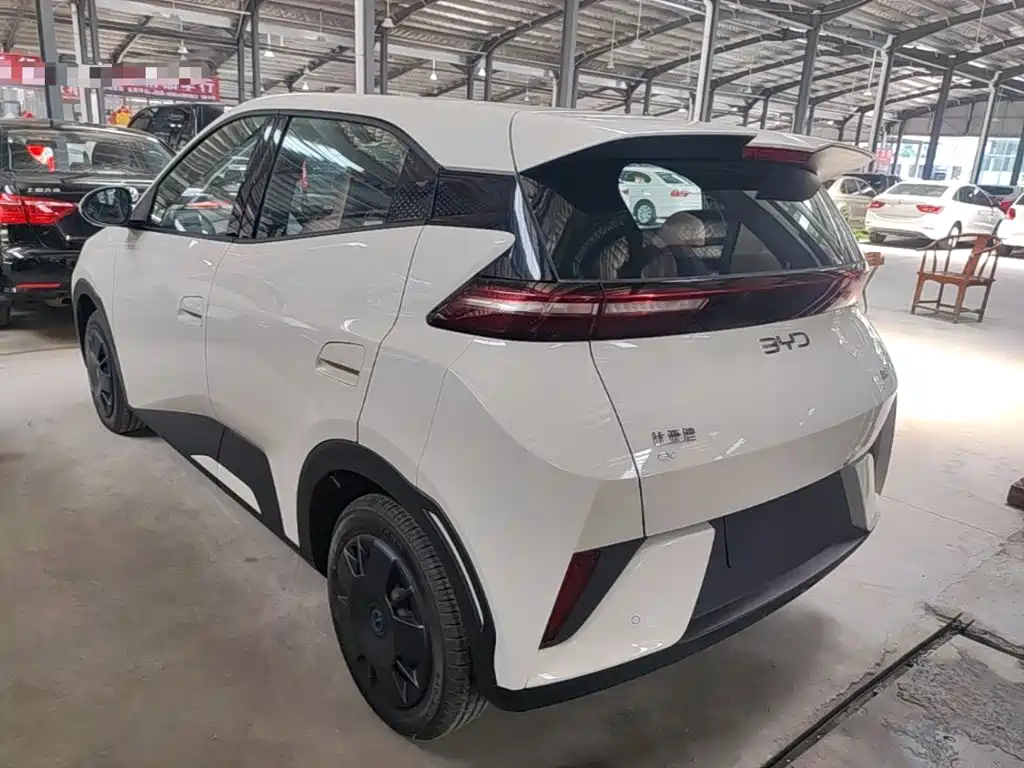 BYD Seagull 2026 2025 Smart Drive Edition 305km Vitality Version