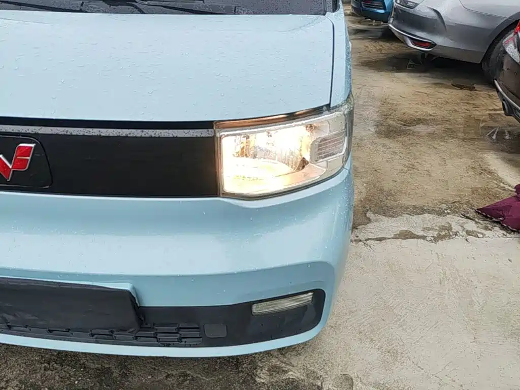 Wuling Motors Hongguang MINIEV 2020 2020 Enjoy Edition LFP