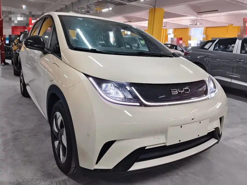 2026 BYD Dolphin