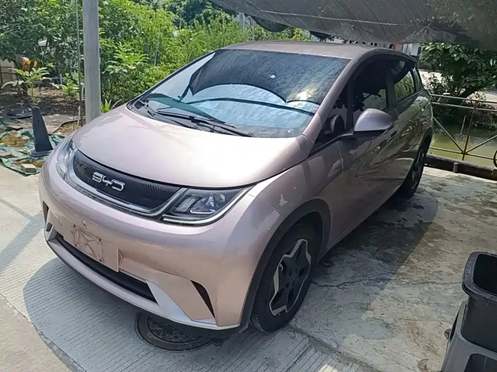 BYD Dolphin 2021