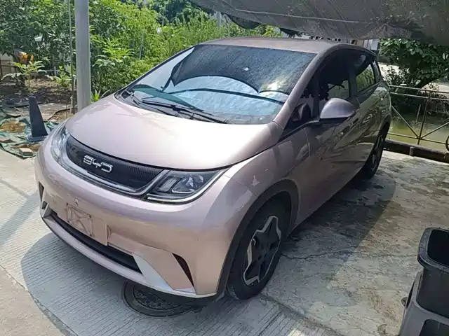 BYD Dolphin 405km, Свобода