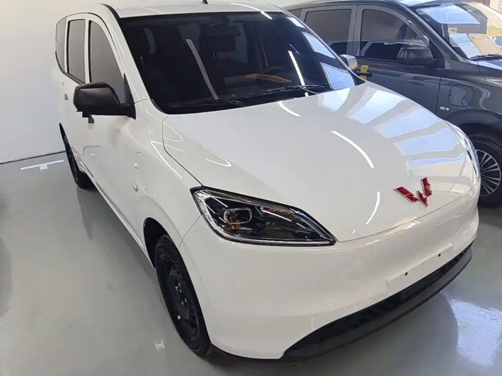Wuling Motors Wuling Hongguang New Energy 2026 2024 Pure Electric 300KM Standard