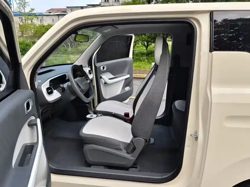 Geely Galaxy Panda 2025 Panda mini 210km Vitality Bear фото 5