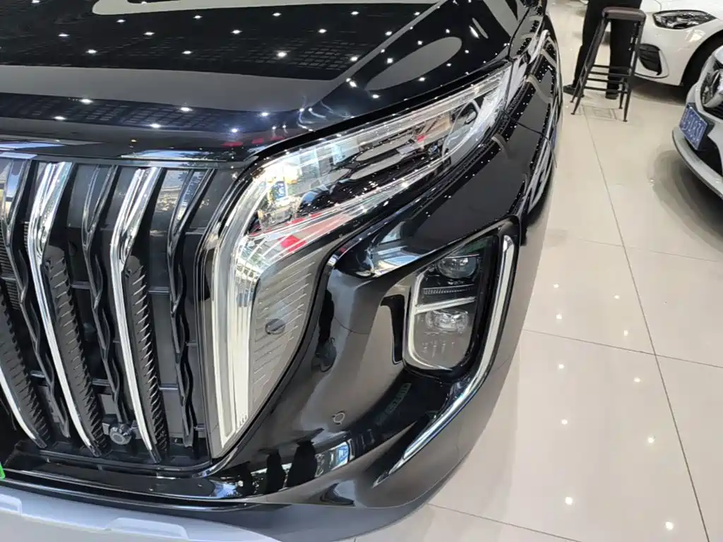 Фото 24 - Hongqi HS7 PHEV