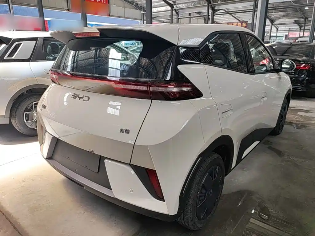 BYD Seagull 2026 2025 Smart Drive Edition 305km Vitality Version