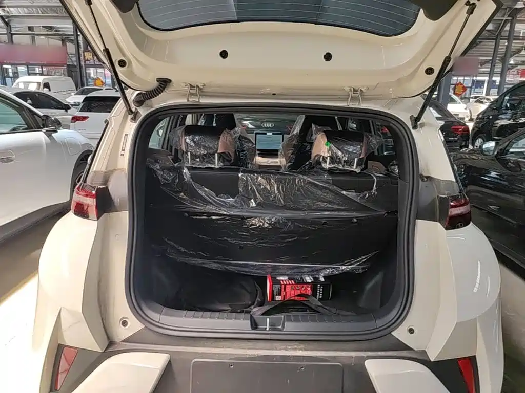 BYD Seagull 2026 2025 Smart Drive Edition 305km Vitality Version