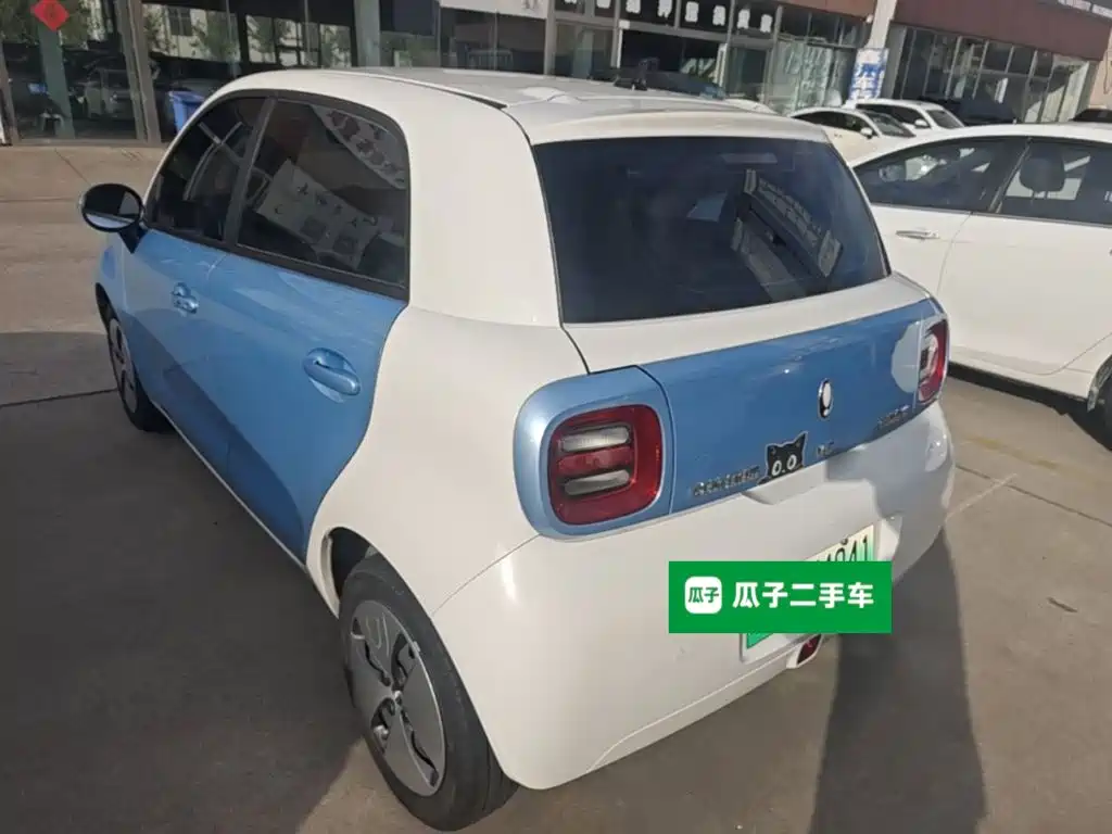 Ora Black Cat 2022 2021 351km Luxury Model