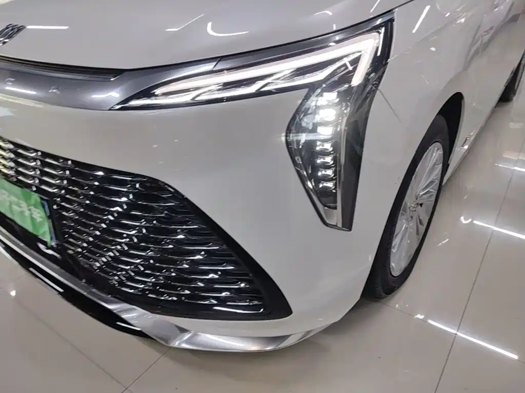 Buick Century 2025 2025 2.0T 7-Seater World Edition