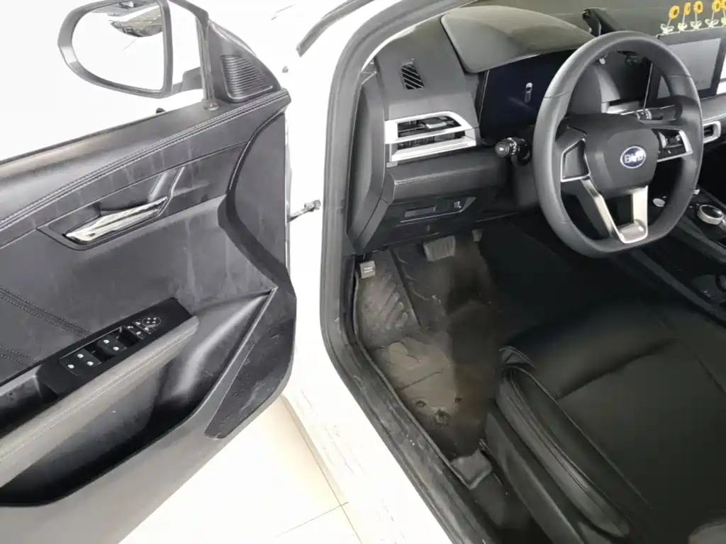 BYD e2 2020 2019 Standard Range Yue·Standard Model