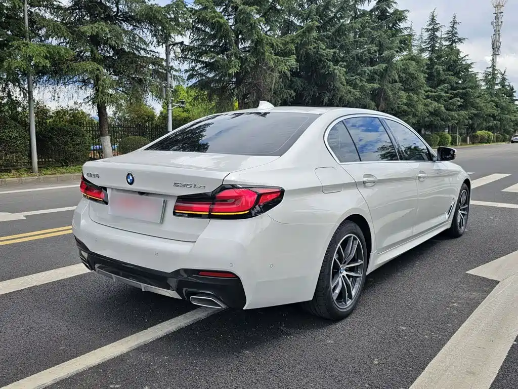 BMW 5 SERIES NEW ENERGY