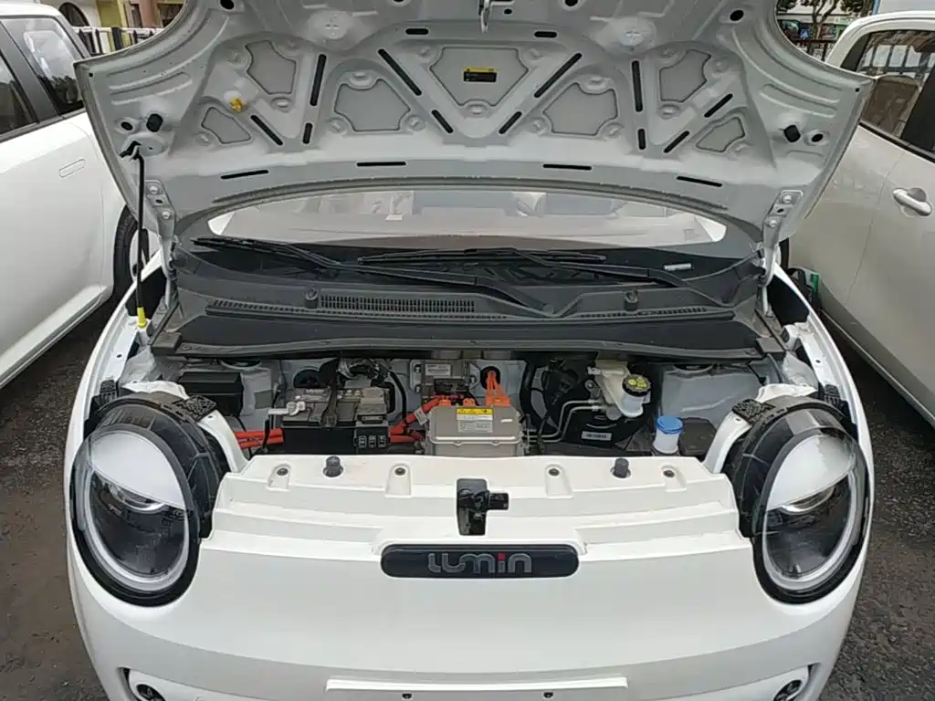 Changan Lumin 2026 2026 Model 205km Treasure Edition