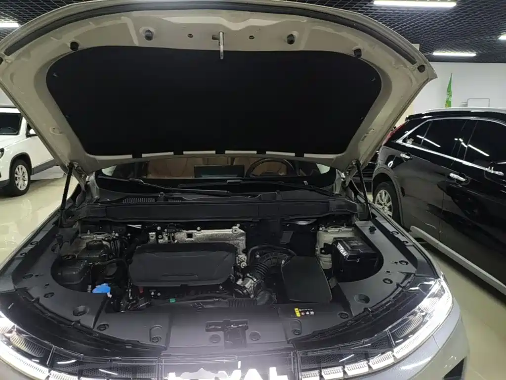 Haval Xiaolong MAX 2025 2025 Hi4 165 Ultra Smart Drive Edition