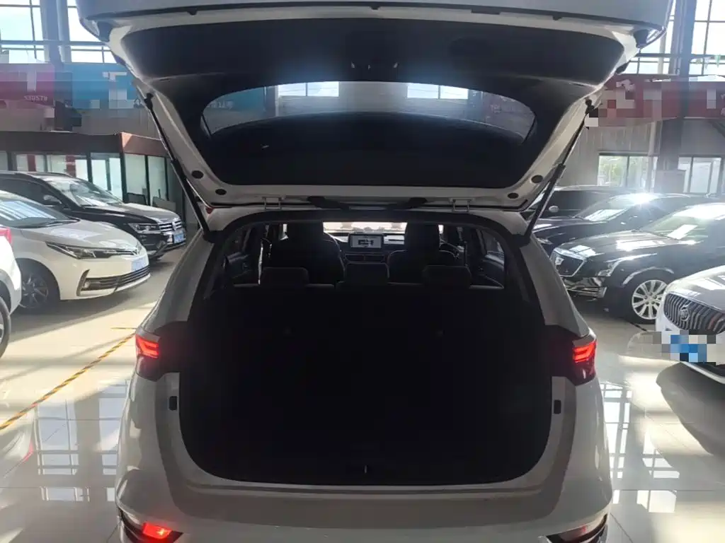Kia KX5 2020 2019 1.6T Automatic 2WD Luxury Edition