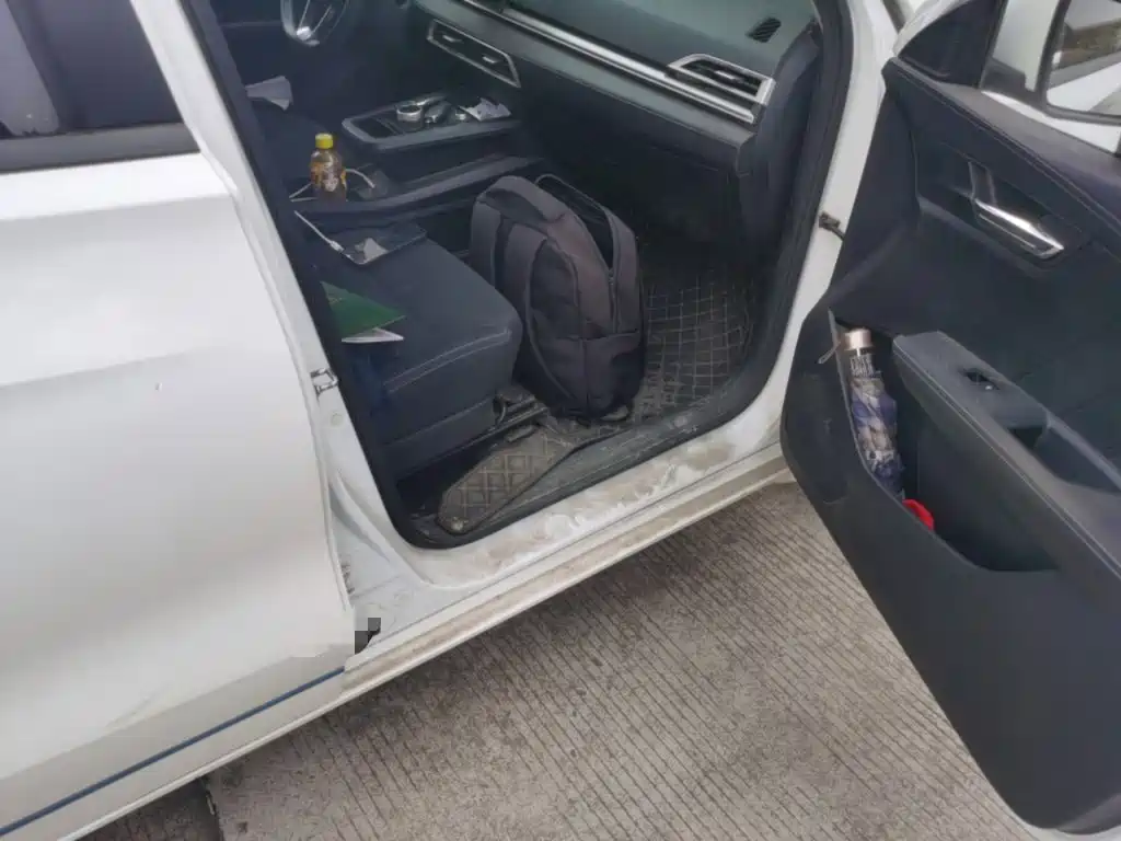 BYD e2 2021 2020 Upgrade Standard Range Standard Model