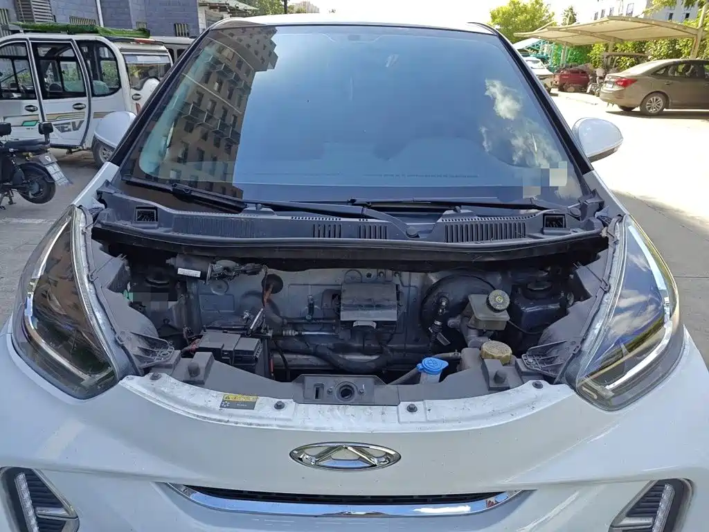 QQ New Energy Little Ant 2024 2024 251km True Love Edition