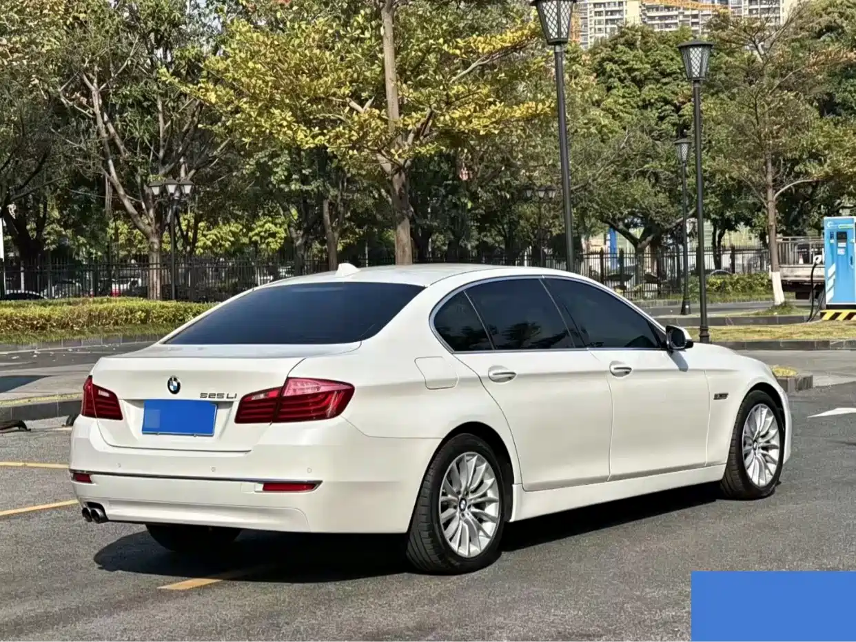 BMW 5 Series 2014 525Li Luxury Design Package фото 5