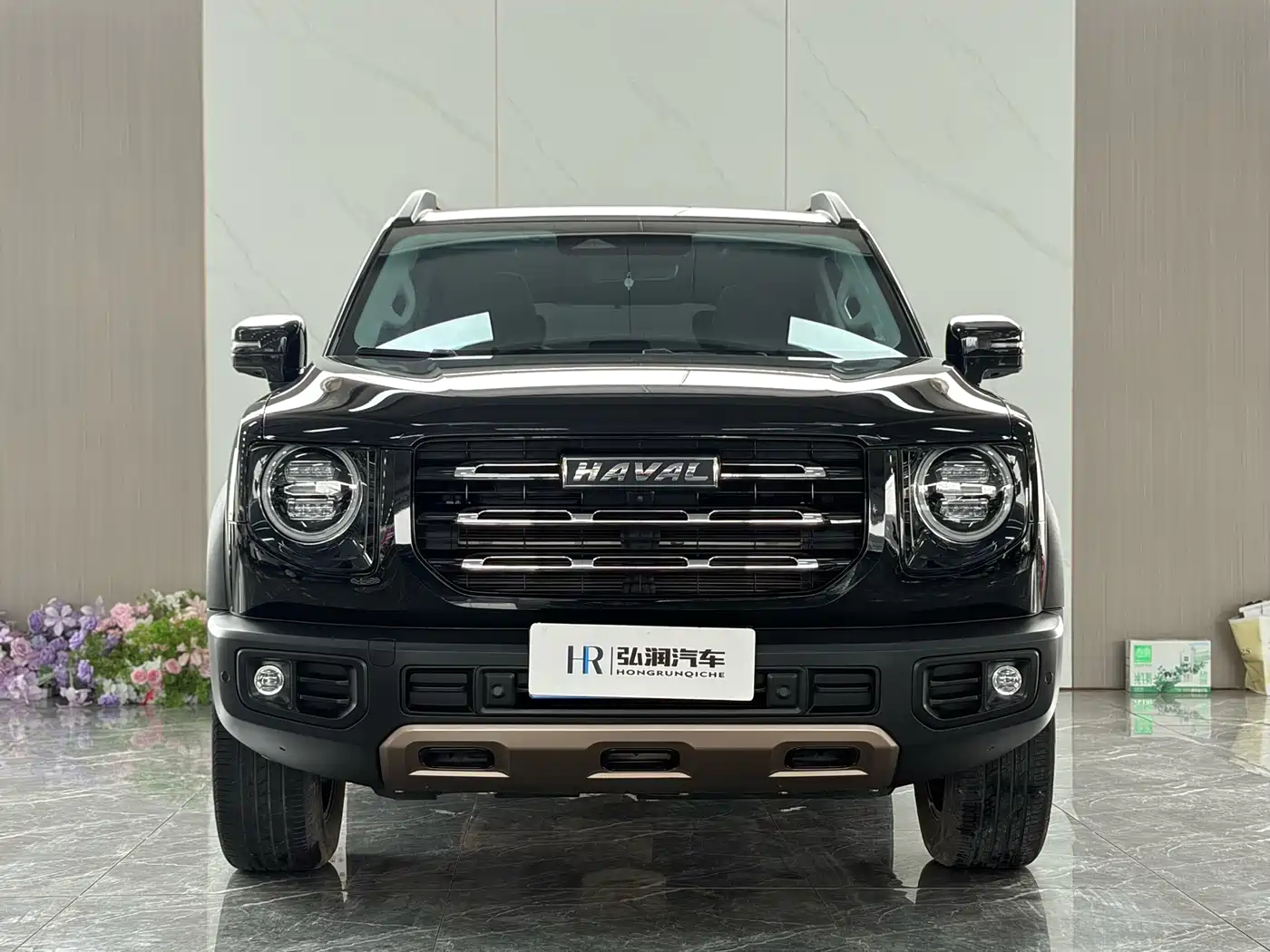 HAVAL BIG DOG